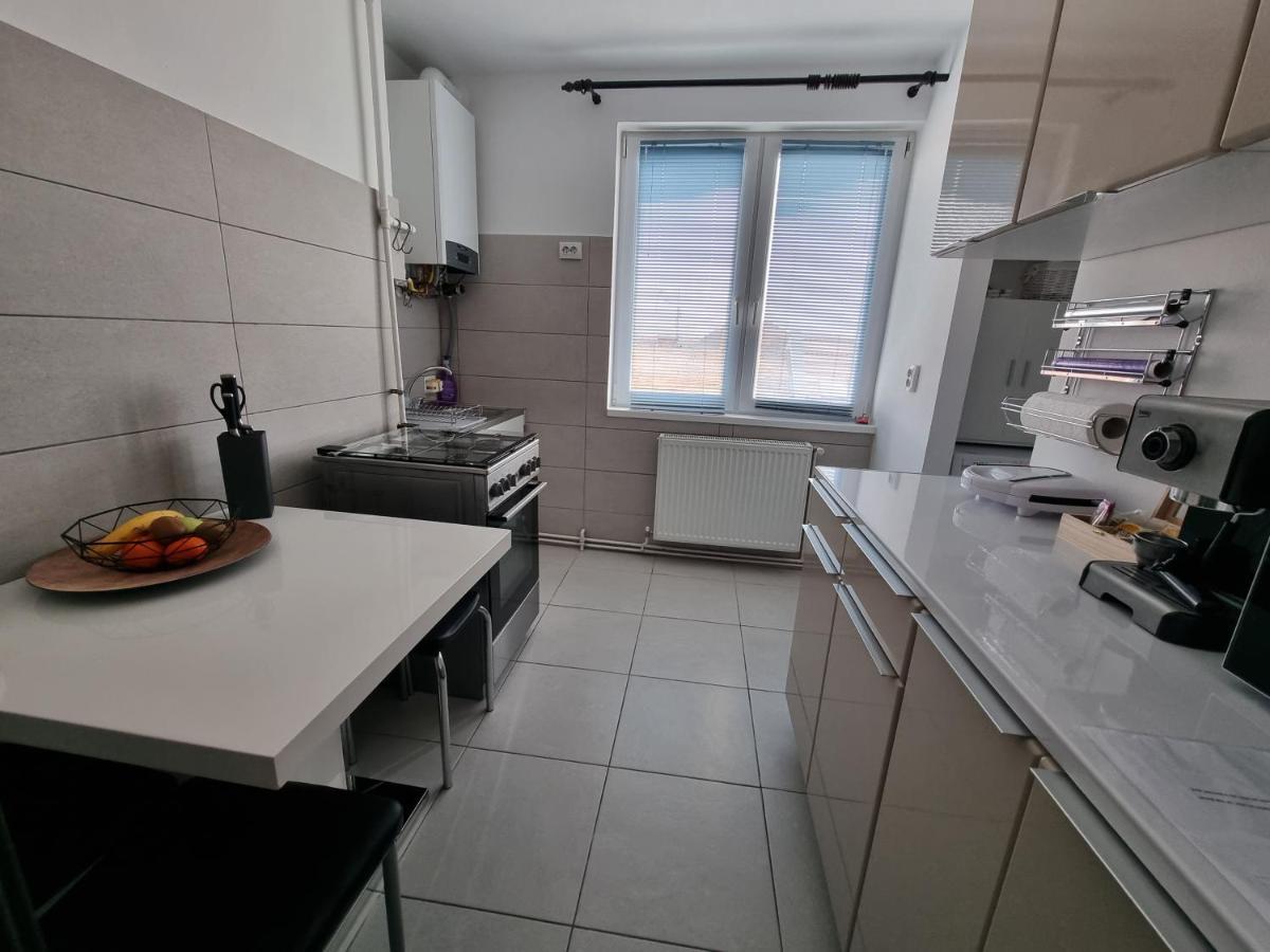 New Apartament Apartment Timişoara